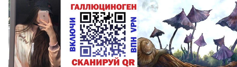 сколько стоит  Щёлково  Галлюциногенные грибы ЛСД 